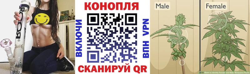 Купить наркотики сайты Холмск Псилоцибиновые грибы  Канабис  Меф  APVP  ГАШ  COCAIN  АМФЕТАМИН 