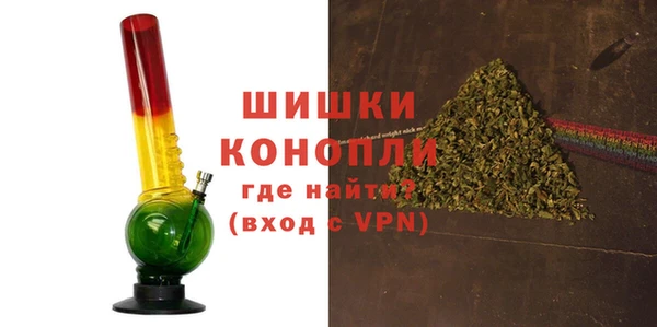дживик Бикин