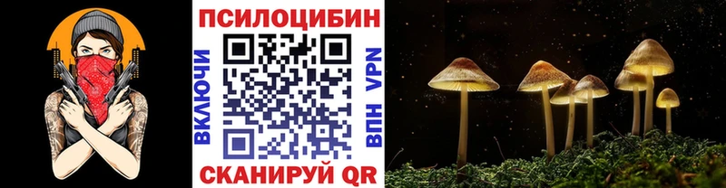 цена   Холмск  Псилоцибиновые грибы мухоморы 
